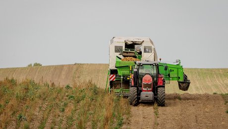 Grønne studerende i oprør mod ledelsen: Vi lærer ikke at tackle de problemer, samfundet står overfor