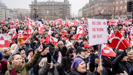 Trump har ændret spillereglerne. Men selv i rovdyrenes tid har aktivisme en rolle at spille, mener forsker