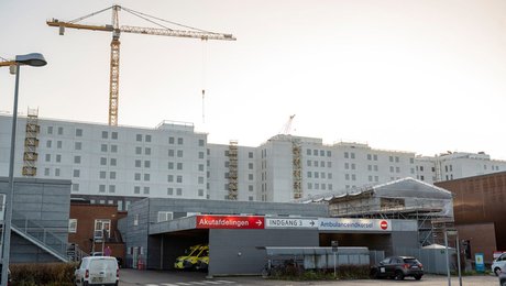 Vicedirektør på Sjællands Universitetshospital stopper efter knap to årtier