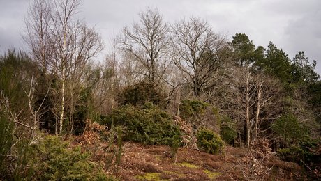 Vicedirektør stopper i Styrelsen for Grøn Arealomlægning og Vandmiljø