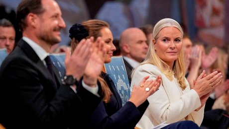 Epstein-dokumenter udstiller et af demokratiets problemer: De mennesker, der styrer det