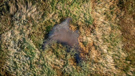 Brancheaktører: Vi gambler med vores drikkevand, hvis vi ikke handler nu