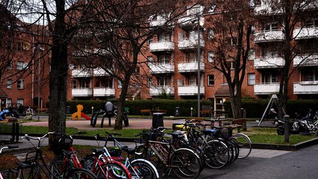 Christopher Arzrouni: Det er noget vrøvl at kalde loven om parallelsamfund for racistisk politik