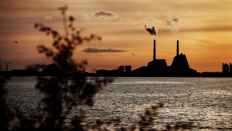 Økonomisk vækst er klimapolitikkens elefant i rummet