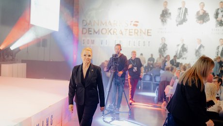 Erhvervslobbyister er Danmarksdemokraternes største økonomiske støtter i 2024