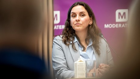 Moderaterne savner løsninger fra blå blok: ”Det er ikke nok bare at sige, man vil have rent drikkevand”