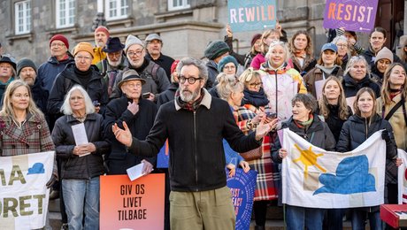 Til stort rally råbte aktivister og politikere på et "svinevalg". Nu hviler alle øjne på S