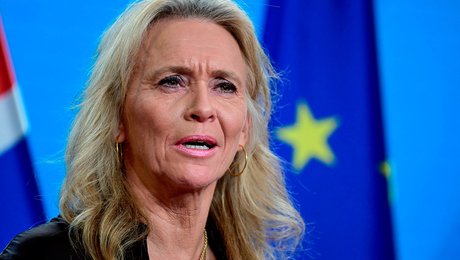 Islands regering vil have folkeafstemning om EU til august