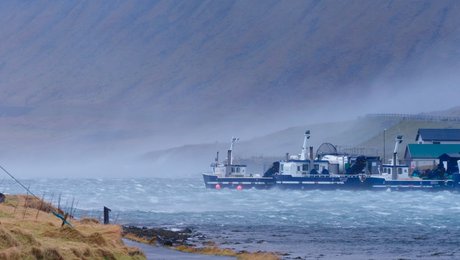 Lektor: Klimatilpasning lykkes kun, når den giver mening i menneskers liv