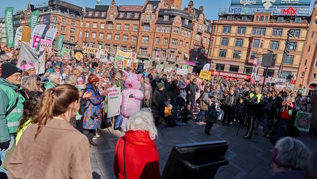 Når politikere bruger skam i valgkampen, svigter de. Vi skylder unge landbrugere en værdig debat
