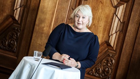 DI forskning: Her er fem gode råd til Danmarks næste forskningsminister