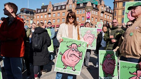 Forsker om Socialdemokratiets betaling for stemmer: "Det er et stort beløb. Især for Alternativet"