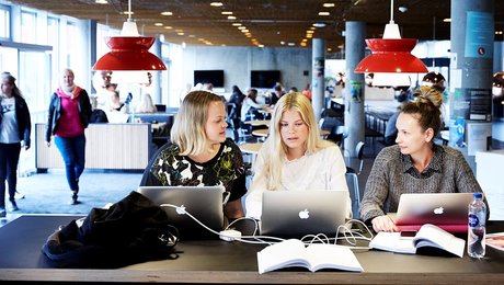 Navneskifte på civilsamfundsuddannelse giver håb om flere ansøgere: “Det er stadig fugle på taget”