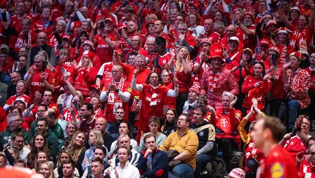 Danskere udpeget til poster i IHF