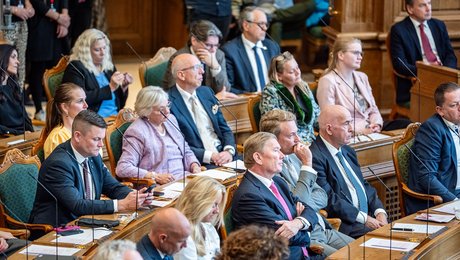 Overblik: Fra popmusik og influencerliv til politik om fattigdom og udvikling. Her er de nye udviklingsordførere