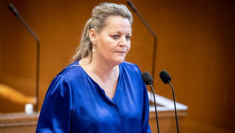 Ny DD-ordfører vil kulegrave anbringelser og bortadoptioner efter ”kradsbørstig” rapport