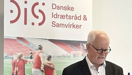 Tidligere viceborgmester bliver bestyrelsesmedlem hos DIS