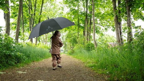 Carelink Gruppen finder ny direktør for velfærdsløsninger