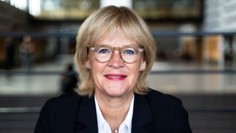 SDU-professor modtager international hæderspris