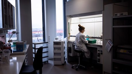 Ny professor i arbejdsmedicin ved Aarhus Universitet