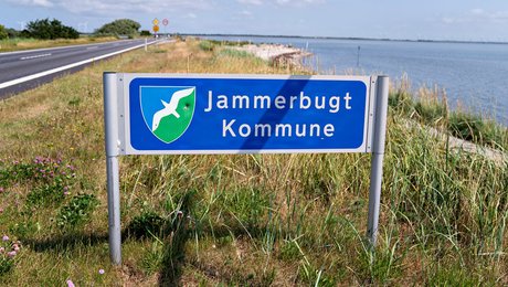 Kommune opsiger direktør for social-, sundheds- og beskæftigelsesforvaltningen