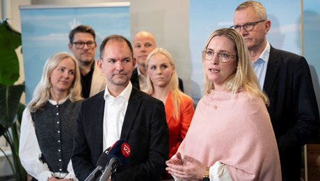 Millionbevilling fra Novo-fond samler støv i Ministeriet for Grøn Trepart. Aktør kalder det ”dybt problematisk”