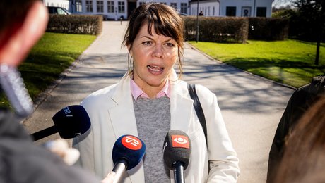 Franciska Rosenkilde: Vi drukner, når klima og svin topper dagsordenen. Men Alternativet er mere end det 