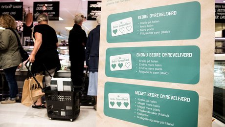 Måling: Intens valgkamp om dyrevelfærd får ikke flere til at ville betale mere for fødevarer