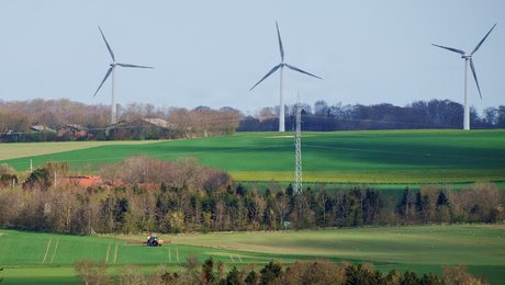 Tænketank: Det går dårligt med den vedvarende energi på land. Her er seks forslag til at vende udviklingen