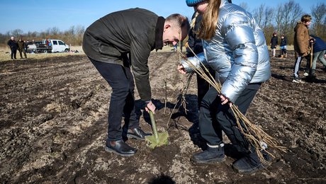 Klimaministeriets "urealistiske” forventninger til skovrejsning skaber bekymring: ”Det går alt for langsomt”