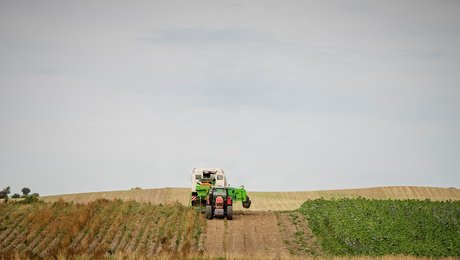 Landboforening fastansætter konstitueret direktør