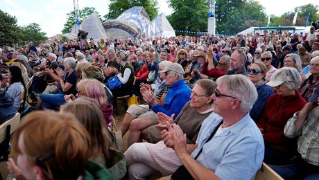 Du møder dem overalt i Allinge. Og det er der god grund til, for ngo-lobbyen boomer 