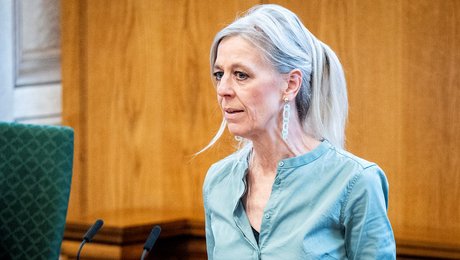 Nyt superudvalg risikerer at klemme udviklingspolitikken