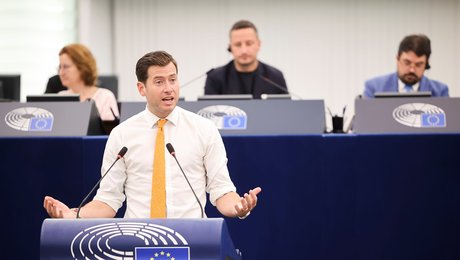 Liberale i EU kræver dansk politiker sanktioneret for racisme