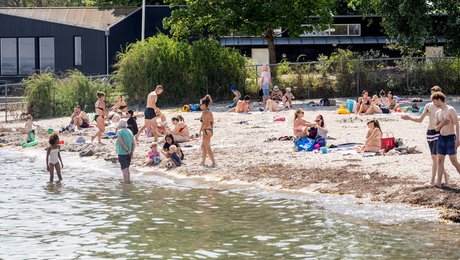 Mangler du en bog til ferien? Her er årets 12 bedste – og én, du bør undgå