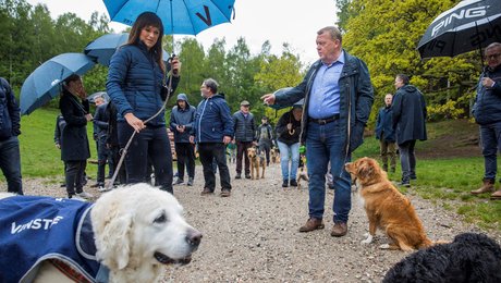 Hvorfor svandt Venstre ind i "verdens sikreste kreds"? Overset valgnederlag viser, at kollapset er større end København