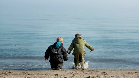 Her er de nominerede til Nordisk Råds miljøpris