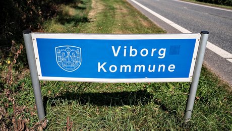 Viborg får ny direktør for børn og unge