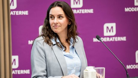Minister for nordisk samarbejde finder særlige rådgivere