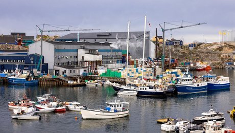 Royal Greenland fyrer to direktører i koncernledelsen