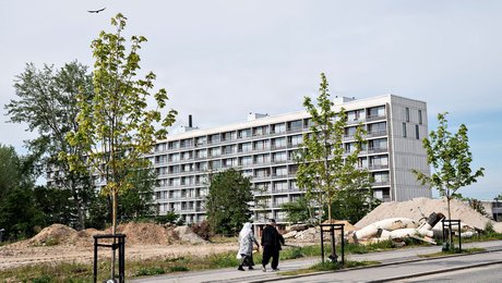 Snart kan tusindvis af indvandreres førtidspension skulle revurderes