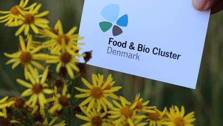Fødevareklynge ansætter KU-lektor som ny chef