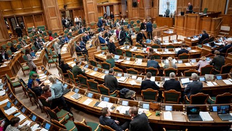 Folketinget er under gennemgribende forandring. Det har demokratiske omkostninger