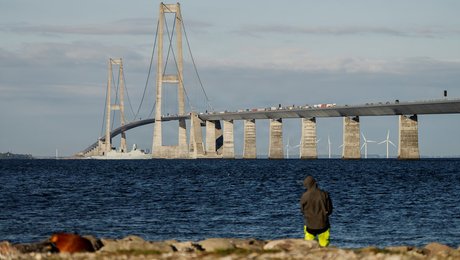 Nødhjælp, naturgenoprettelse ved Storebælt og nye fritidsfællesskaber: Det har fondene givet penge til i juli