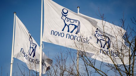 Forskere svarer politiker:  Vi "letter gerne røven" til en snak om jeres Novo-projekt, hvis du dropper dine personangreb