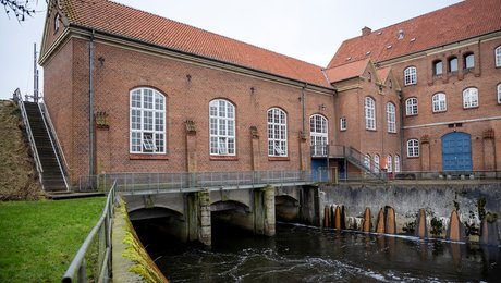 Politikere trodser embedsmænd: Tangeværket får grønt lys