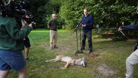 S-minister poserede med en død ulv foran hele pressen. Det vidner om en blodrus