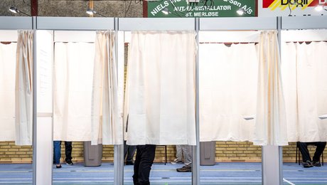 Ambitiøs bog om danske valgkampe svækkes af for mange faktuelle fejl