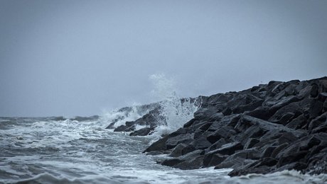 Fristen er ved at udløbe. Hvor er regeringens plan for genopretning af naturen?
