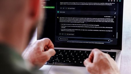 Tidligere kommunaldirektør og rådgiver: Ring til de borgere, som indsender AI-klager